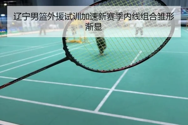 辽宁男篮外援试训加速新赛季内线组合雏形渐显